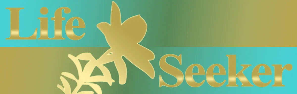 LifeSeeker_Strip2