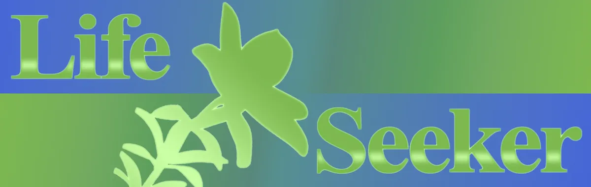 LifeSeeker_Strip3