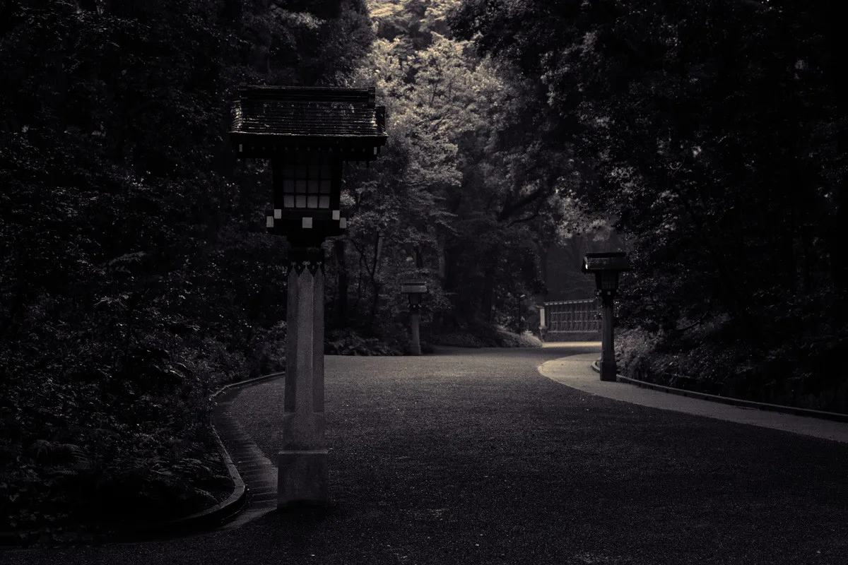 Dimly lit pathway through a dense forest, bordered by traditional Japanese lanterns and fading into the distance.