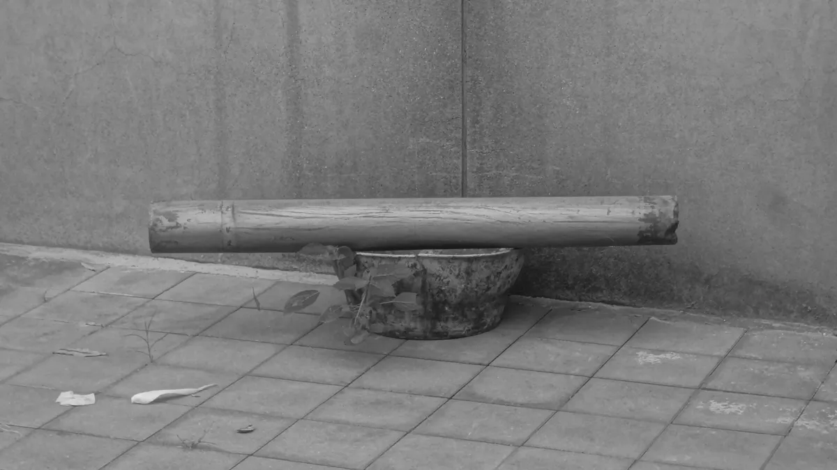 DSC04324-Edit