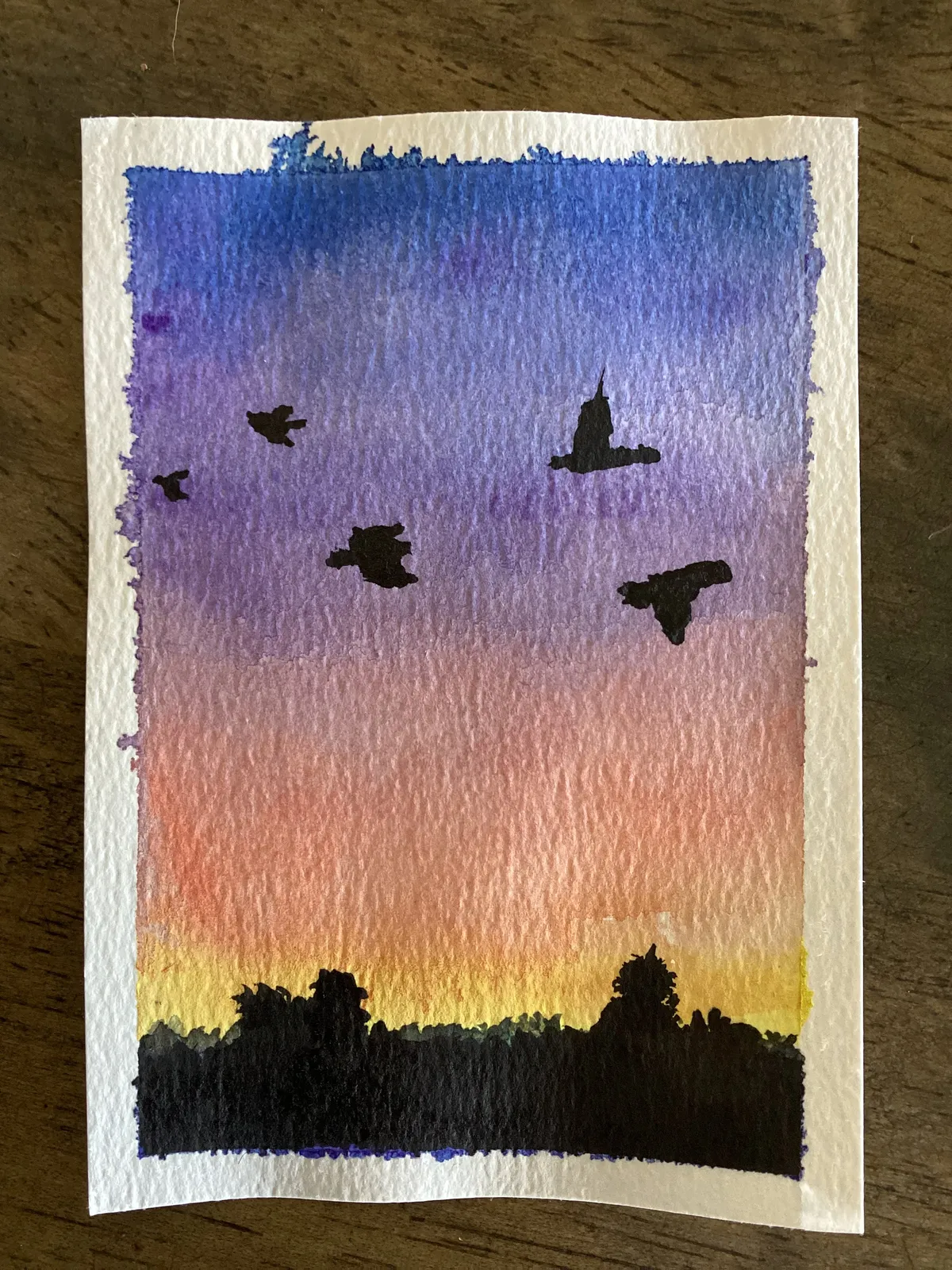 IMG_0693 Crows