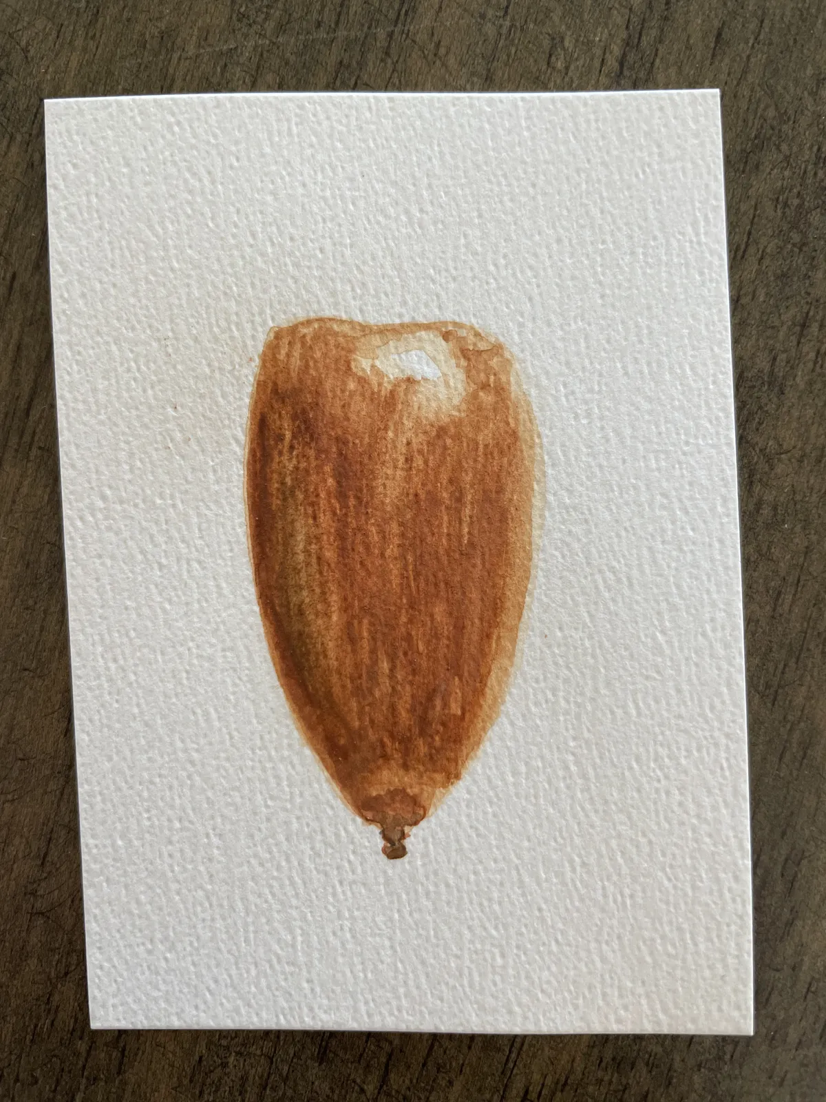 IMG_3282 Chestnut