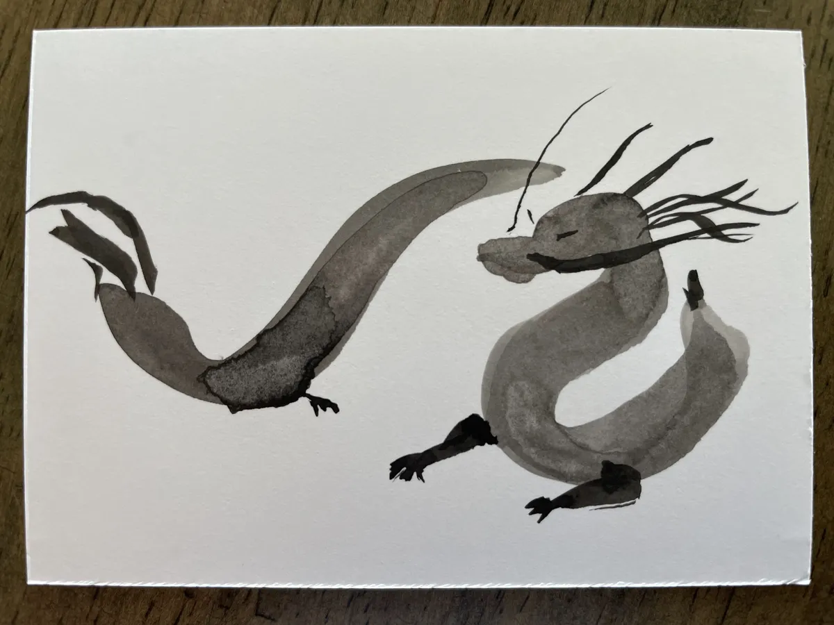 IMG_3479 Dragon 2