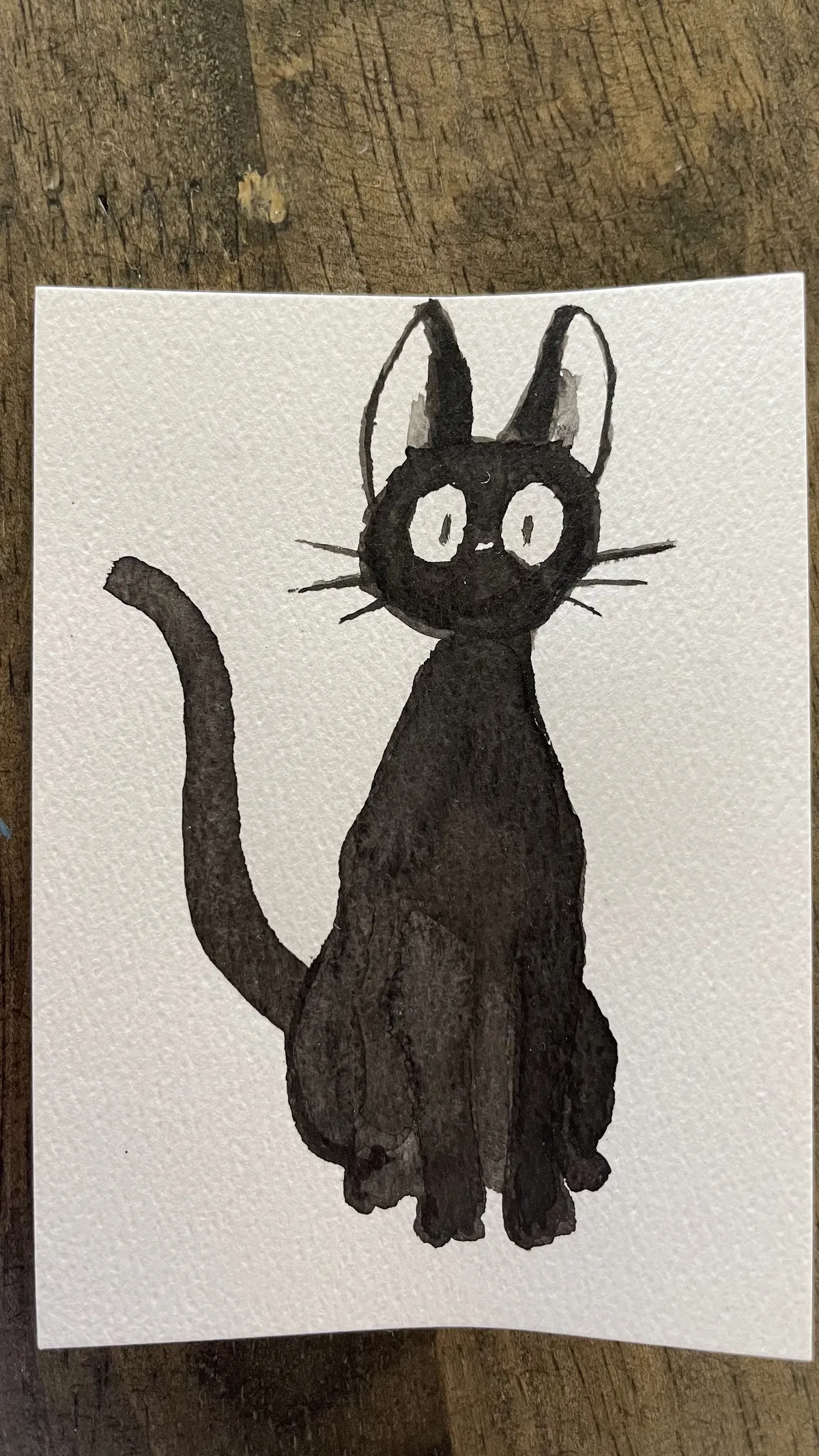 IMG_3549 Jiji 3