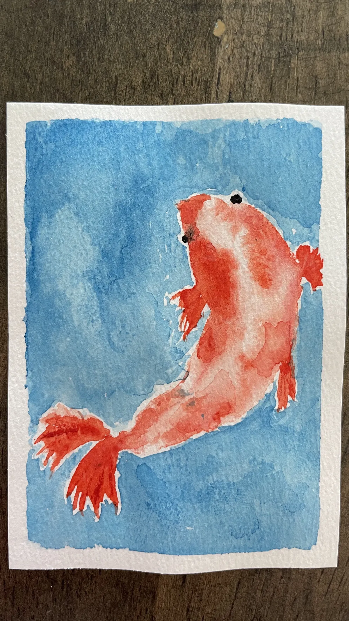 IMG_3676 Fish 1 (fat)