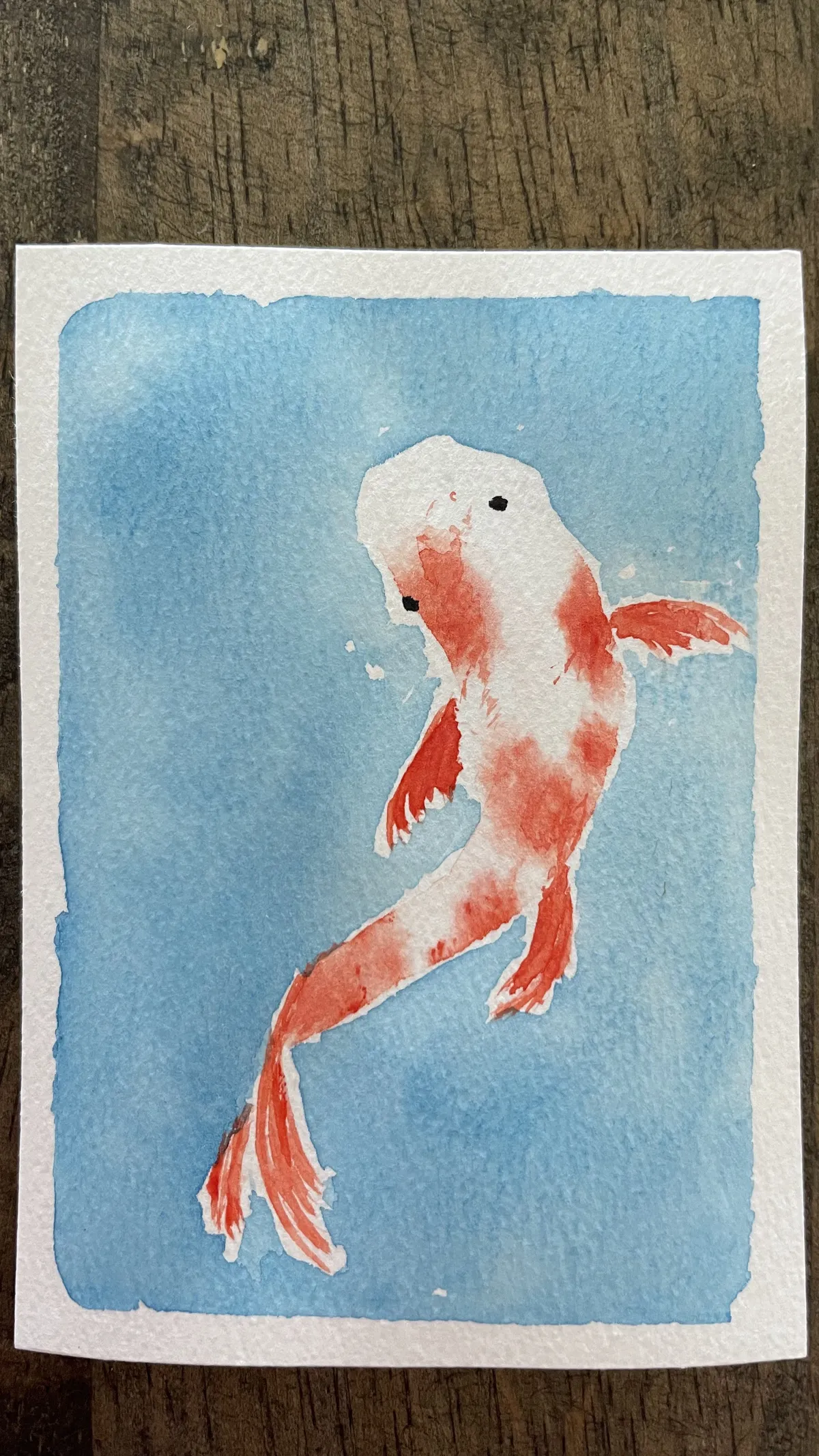 IMG_3677 Fish 2