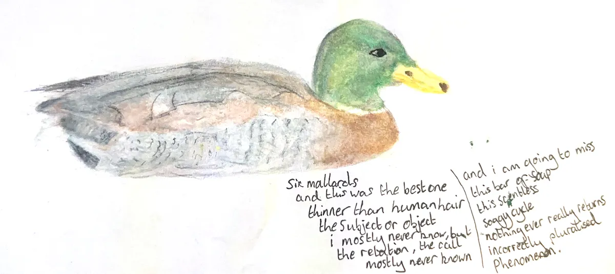 Screenshot 2025-10-21 at 22-38-32 Scanned Documents