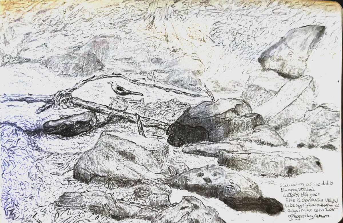 Screenshot 2025-10-22 at 21-31-11 Scanned Documents