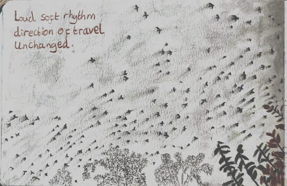 Screenshot 2025-10-26 at 00-48-40 Scanned Documents