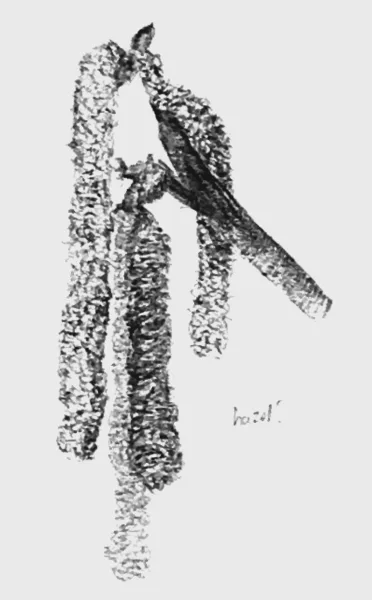 Screenshot 2026-02-25 at 00-05-00 Scanned Documents (20)