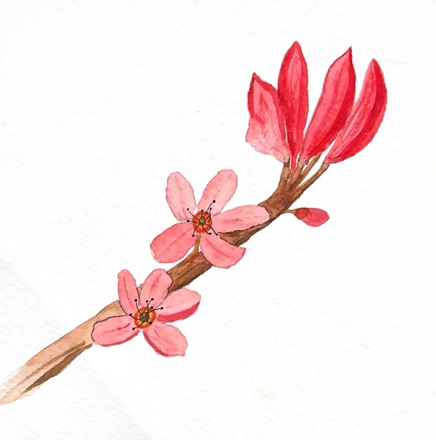 Screenshot 2026-03-06 at 00-23-43 Scanned Documents (26)