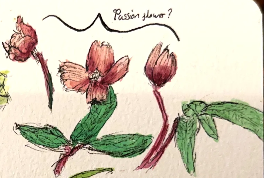 Screenshot 2026-04-21 at 23-15-51 Its_a_reno_pd446686590