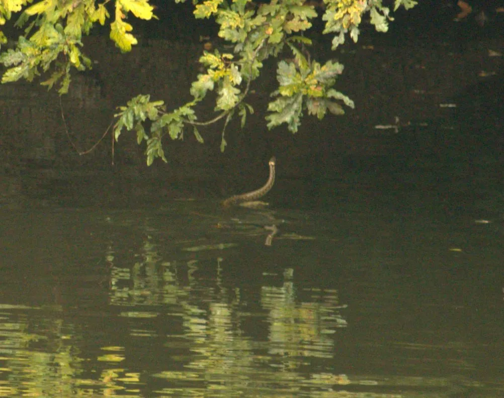 photo_2025-11-24_11-48-52