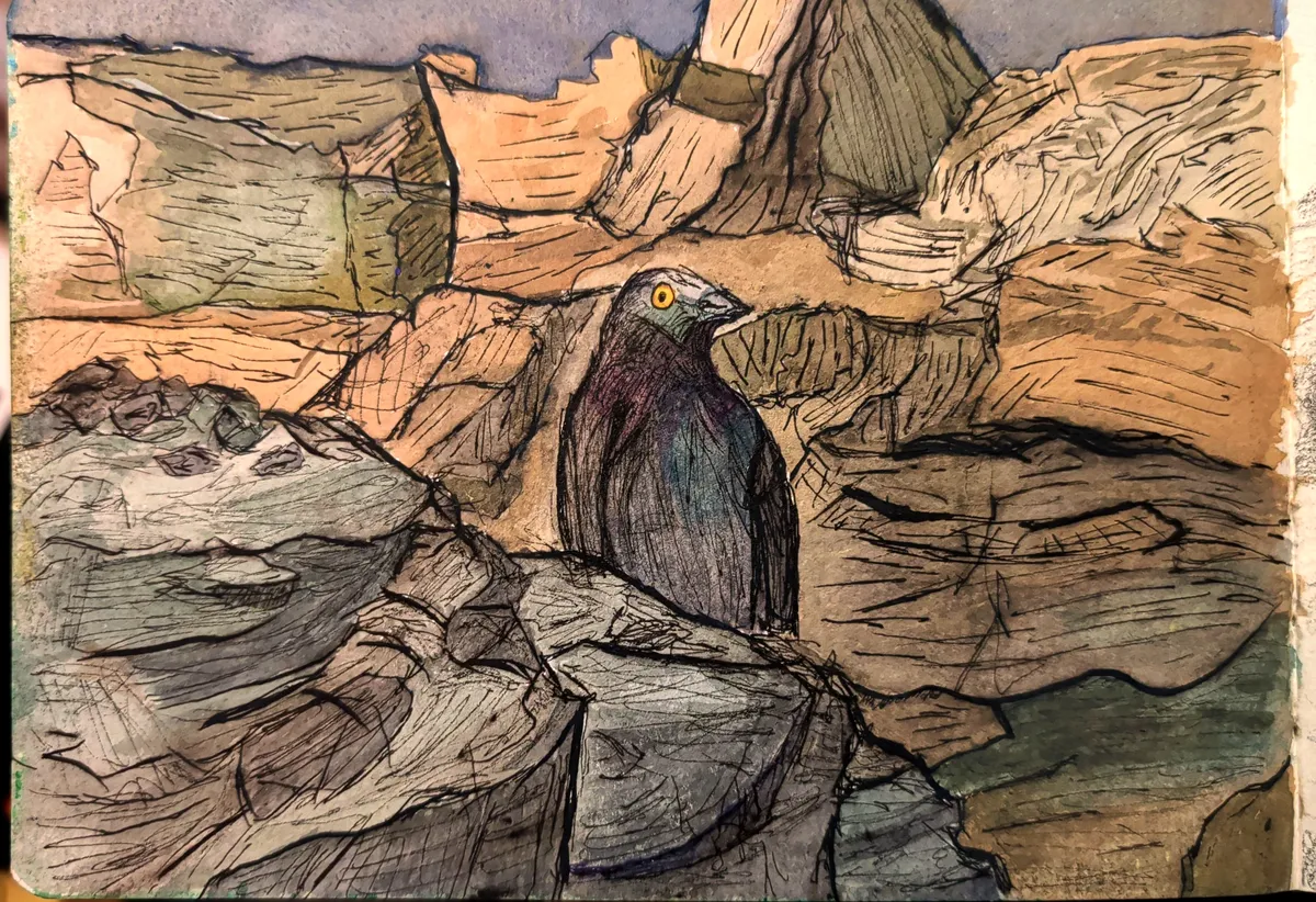 Scan_20260427_003207_p1