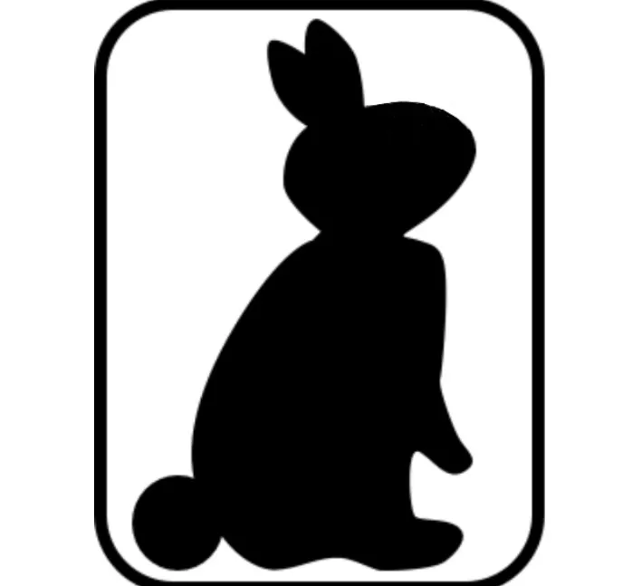 Plain bunny