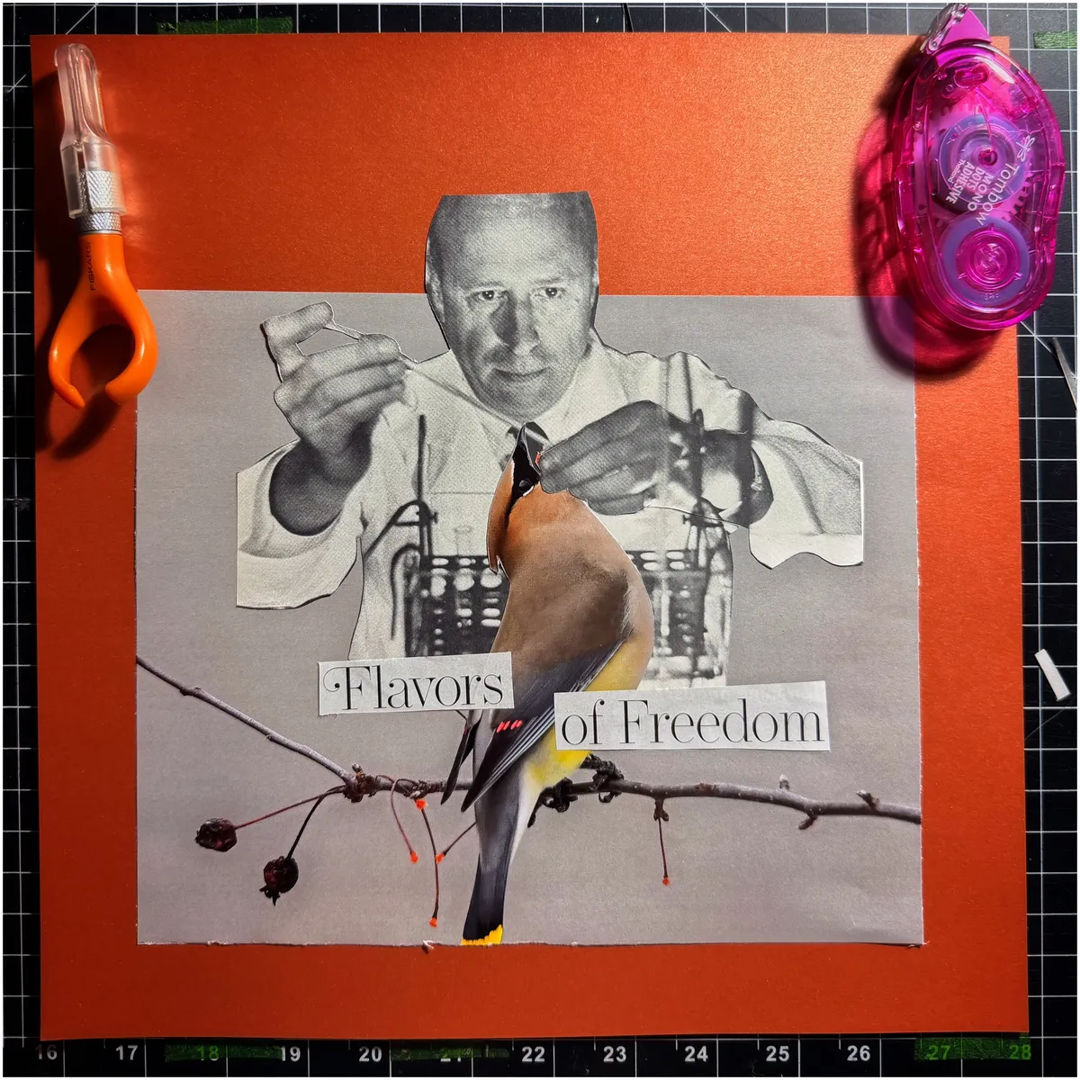 A collage of a black and white scientist reaching over a great horizon to grasp a bird and feed it something from a pipette