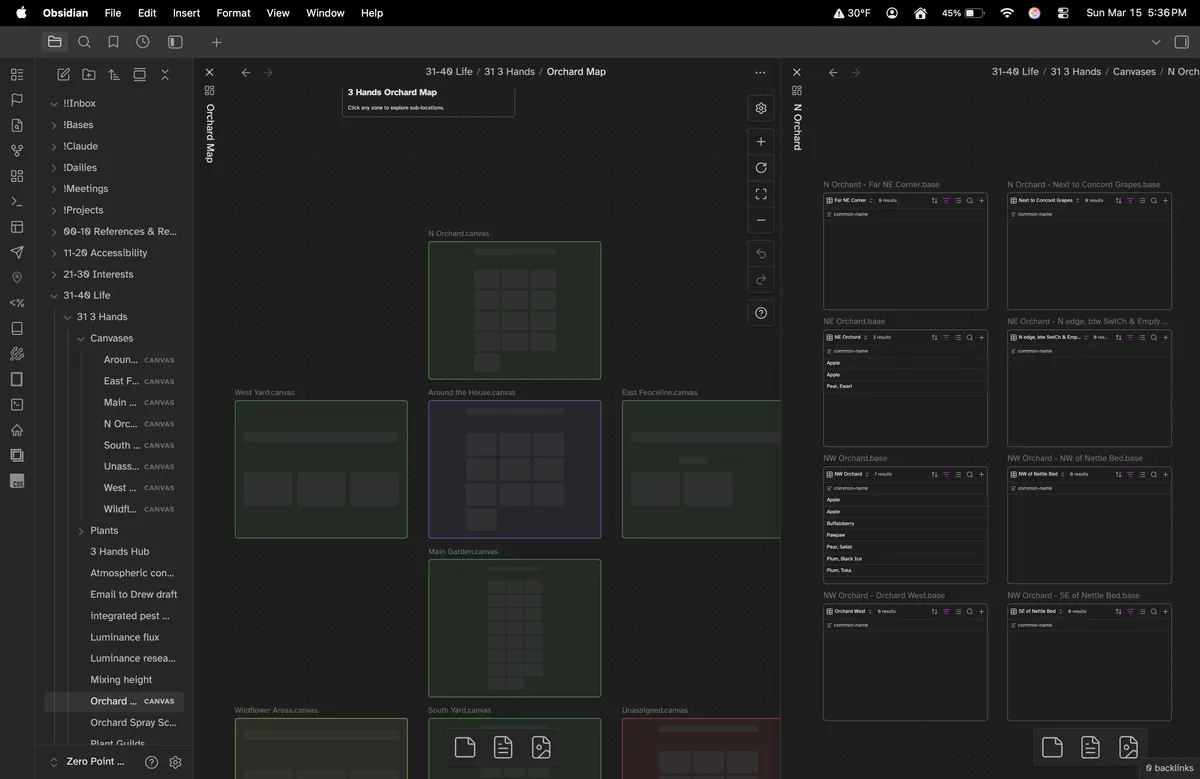 Ochard Canvas Top View