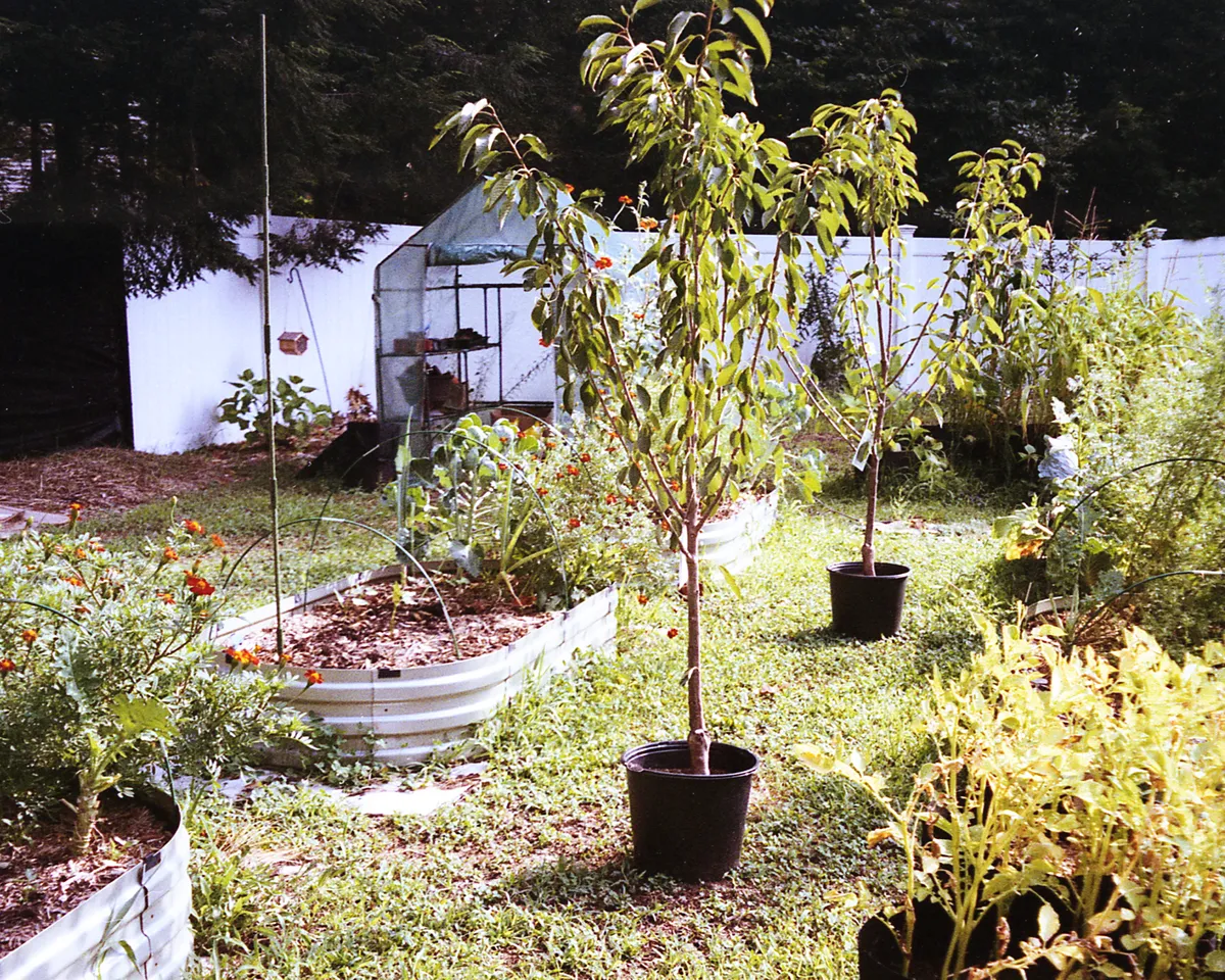 MINOLTA140EX_ULTAMAX