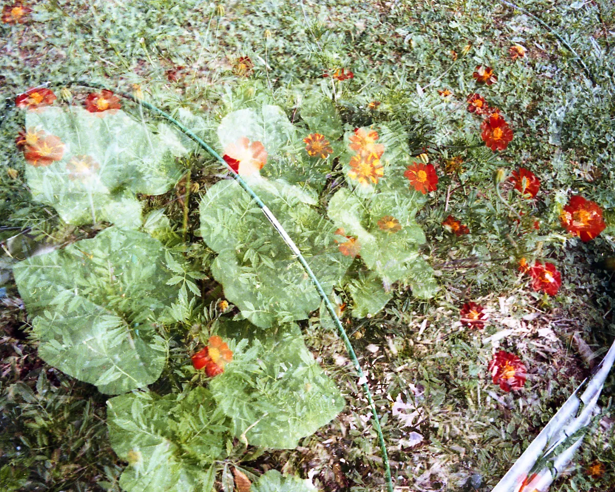 MINOLTA140EX_ULTAMAX 7