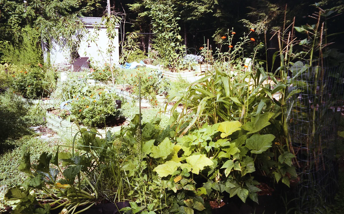 MINOLTA140EX_ULTAMAX 8