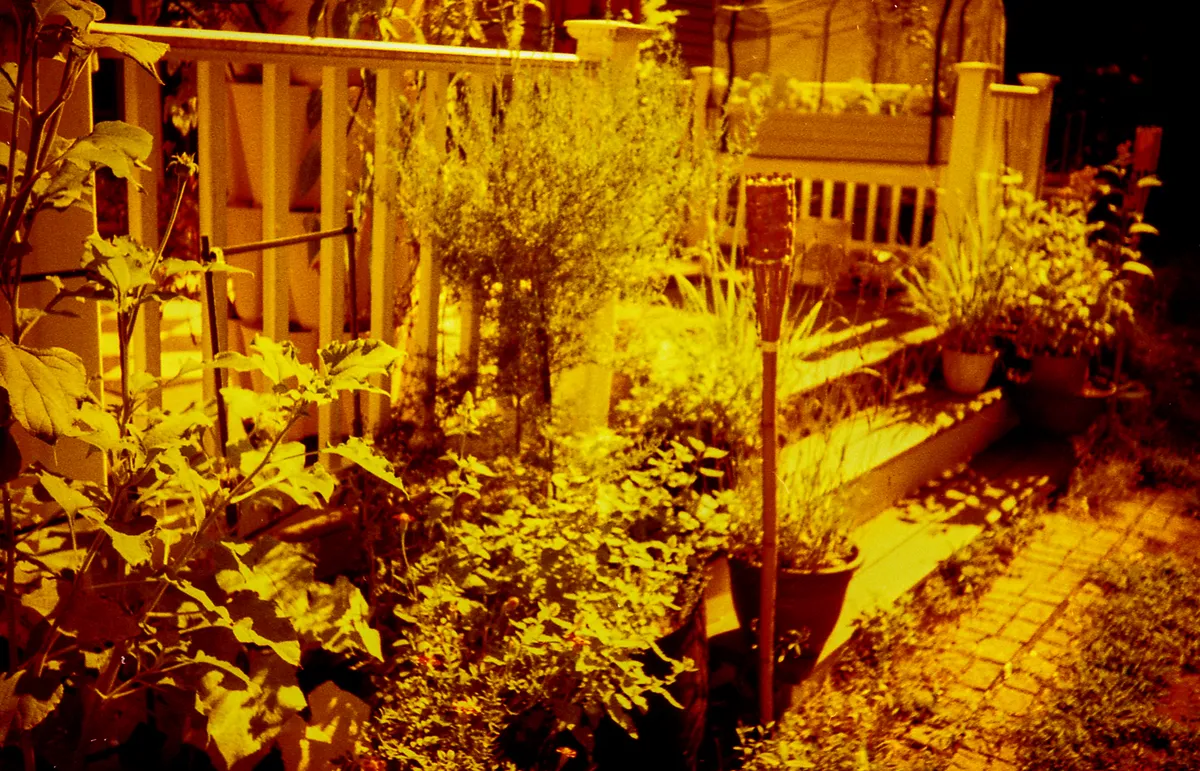redscale_mca 2