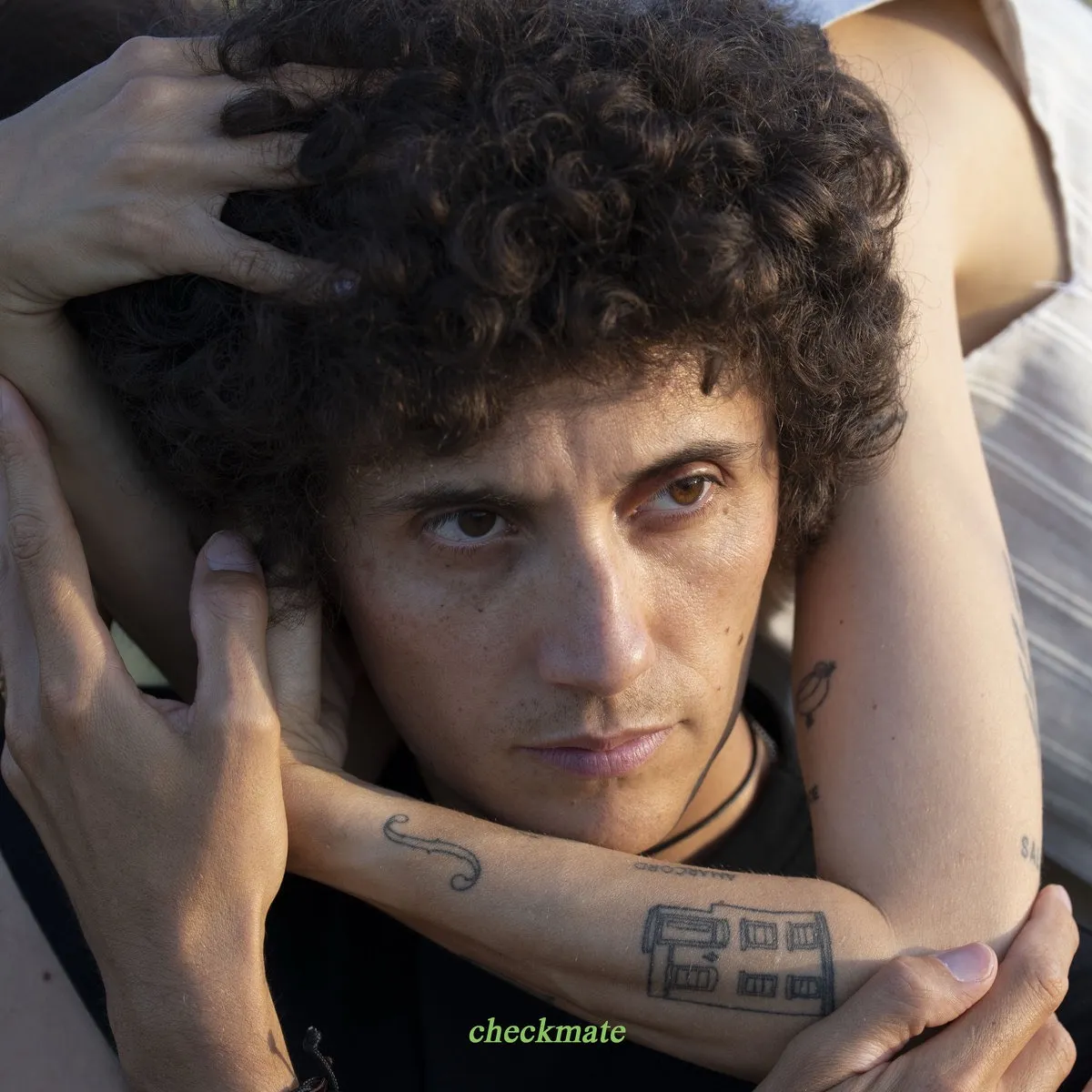 Checkmate - Ron Gallo