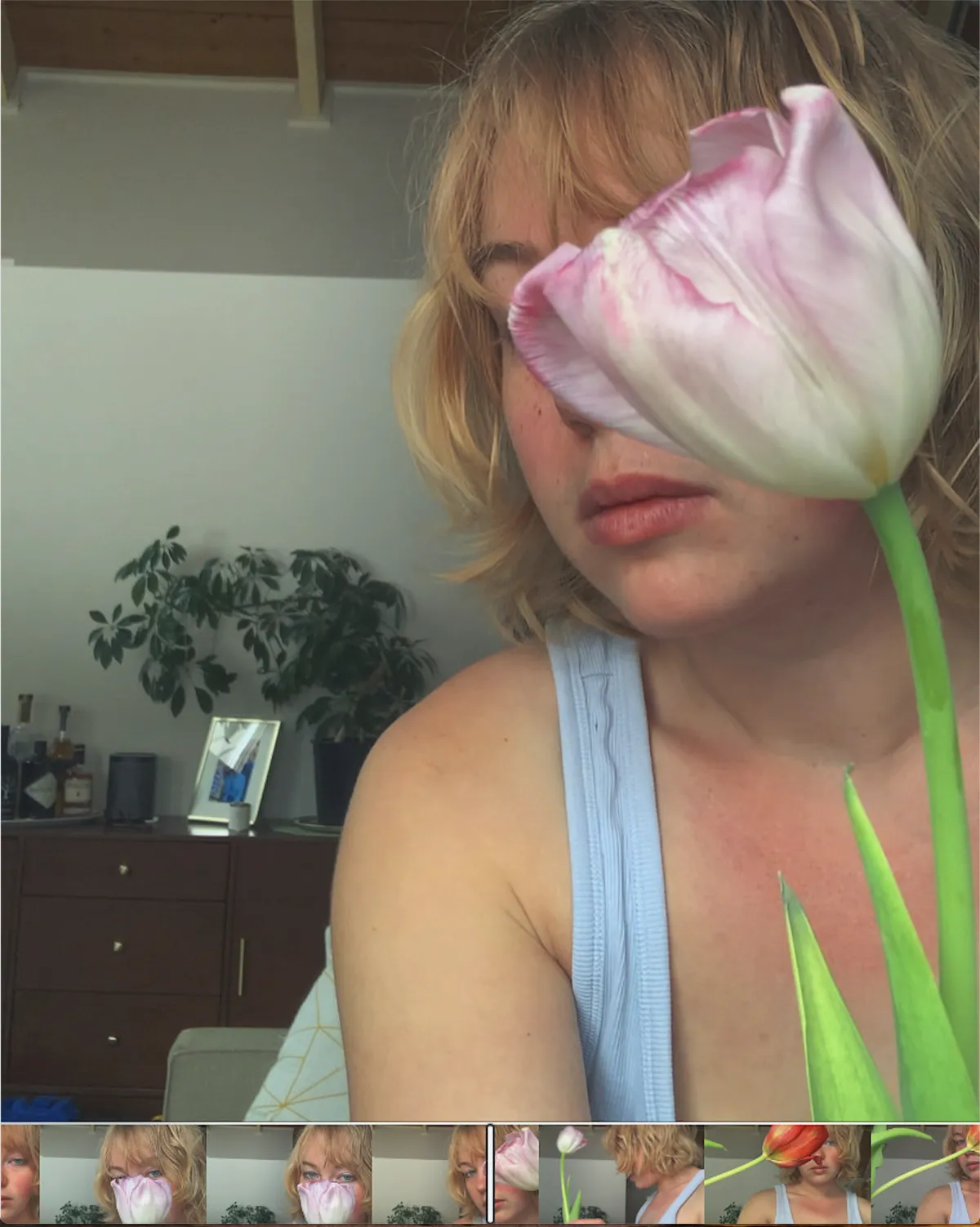 Screen Shot 2026-04-03 at 11