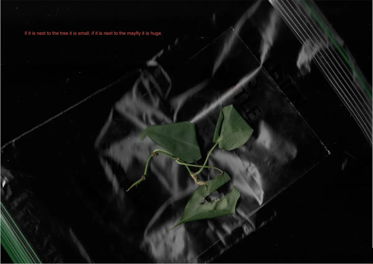 Screen Shot 2026-03-16 at 8