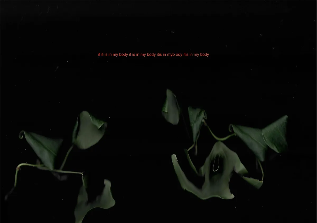 Screen Shot 2026-03-16 at 8