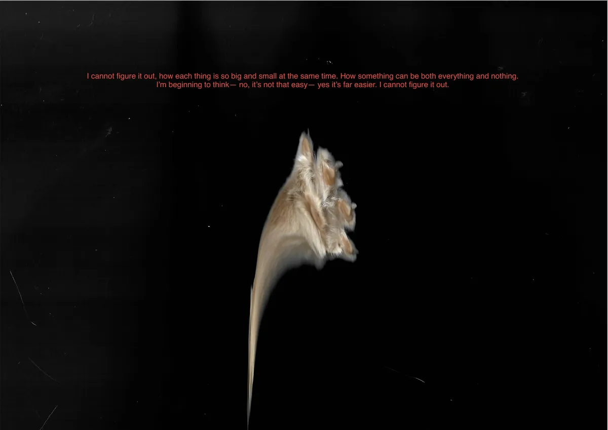 Screen Shot 2026-03-16 at 8