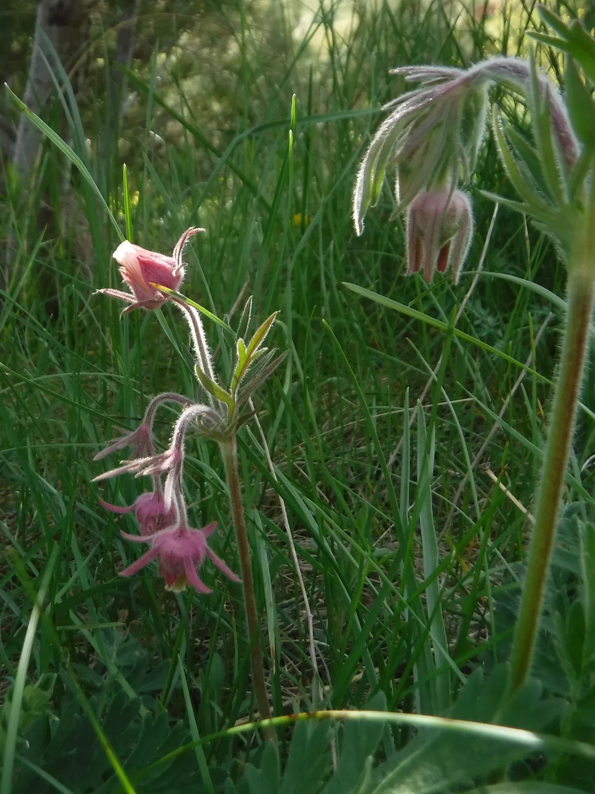 DSCF0148