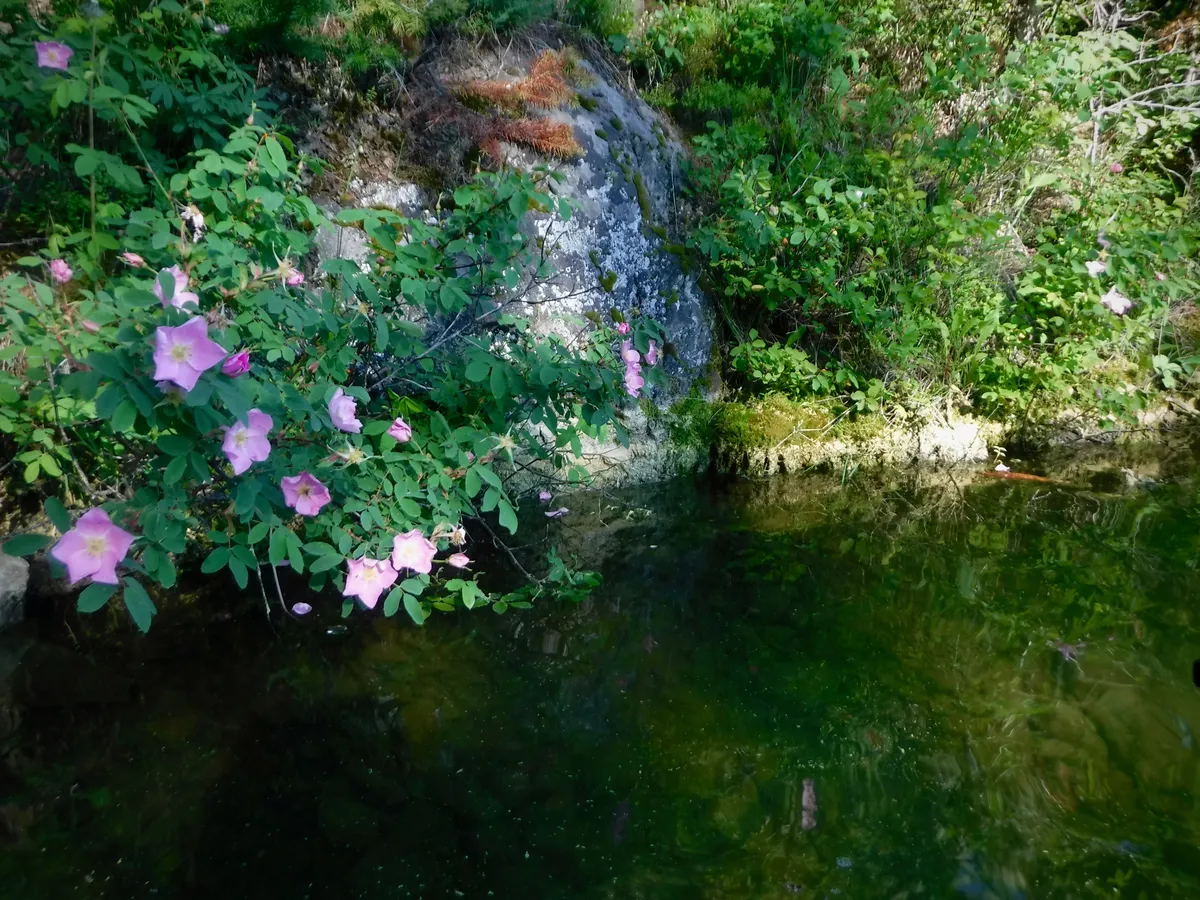 DSCF0914