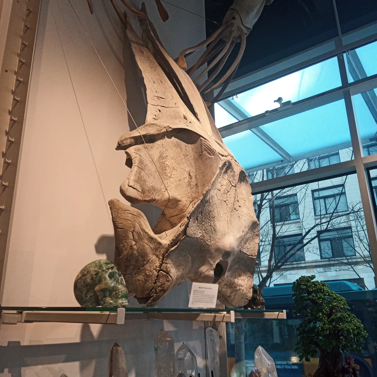 IMG_20260302_130028_974