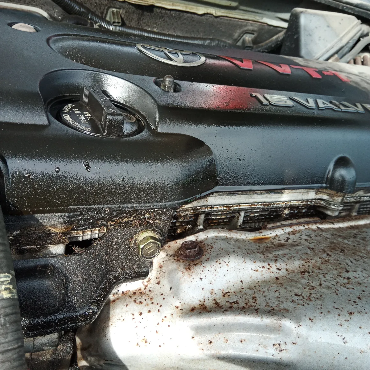 IMG_20260304_093546_576