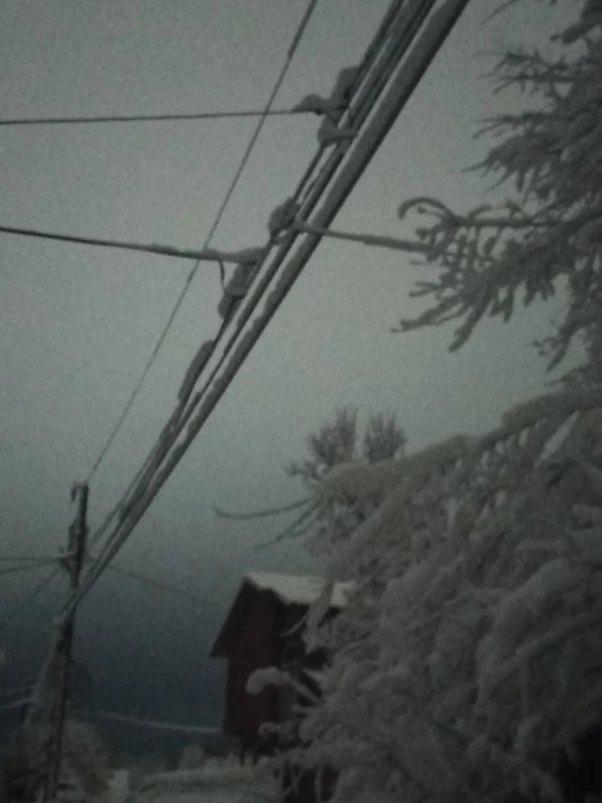 IMG_20260402_231956_053