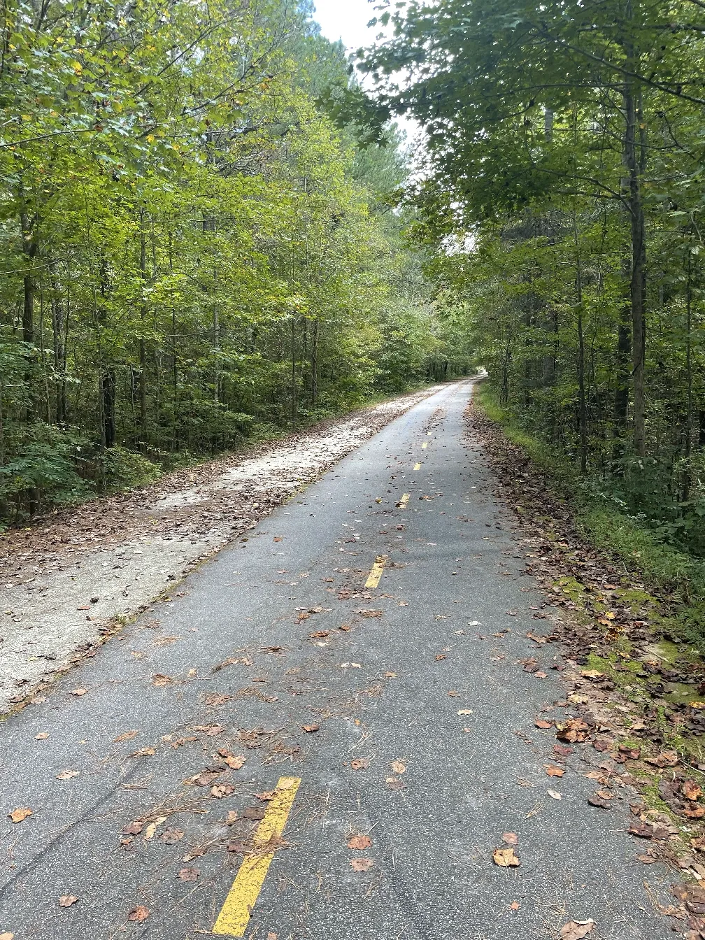 A straight, paved section of the trail among trees