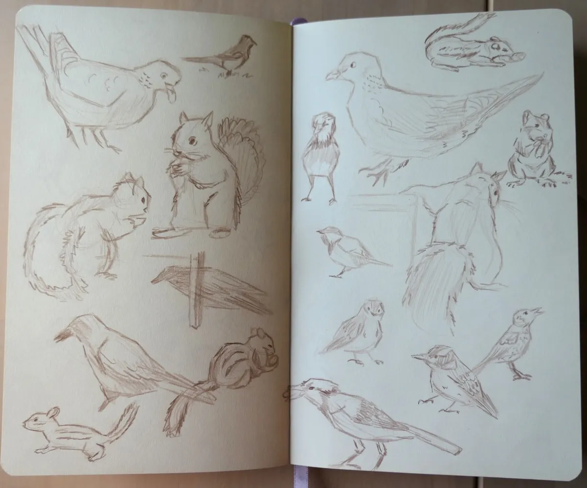 A two-page spread of birds in various poses.