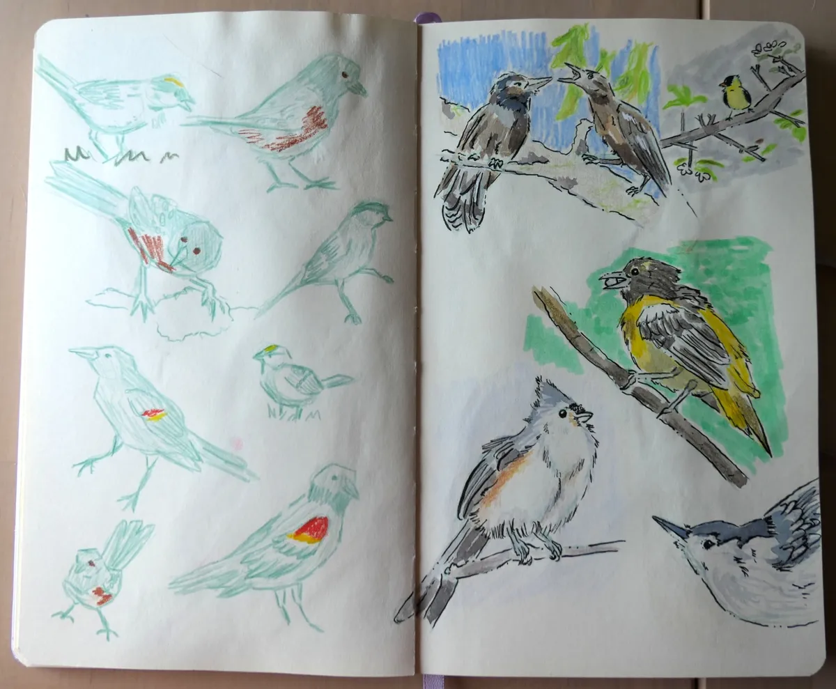 One page of sketched birds and another painted in watercolor.