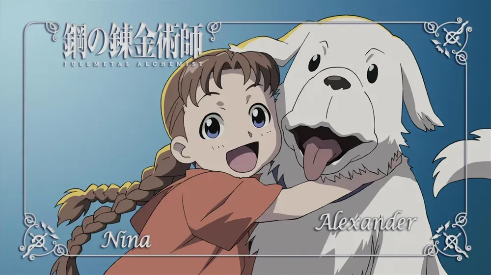 fma nina
