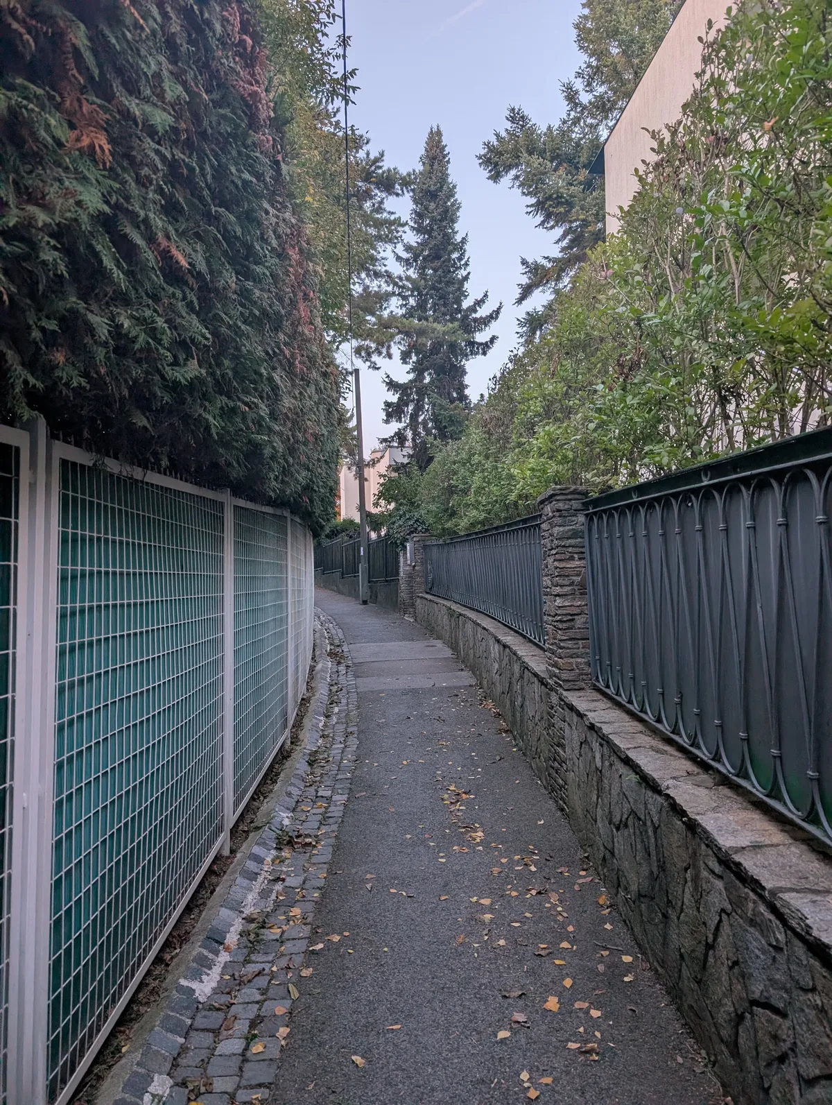 PXL_20251021_155457916