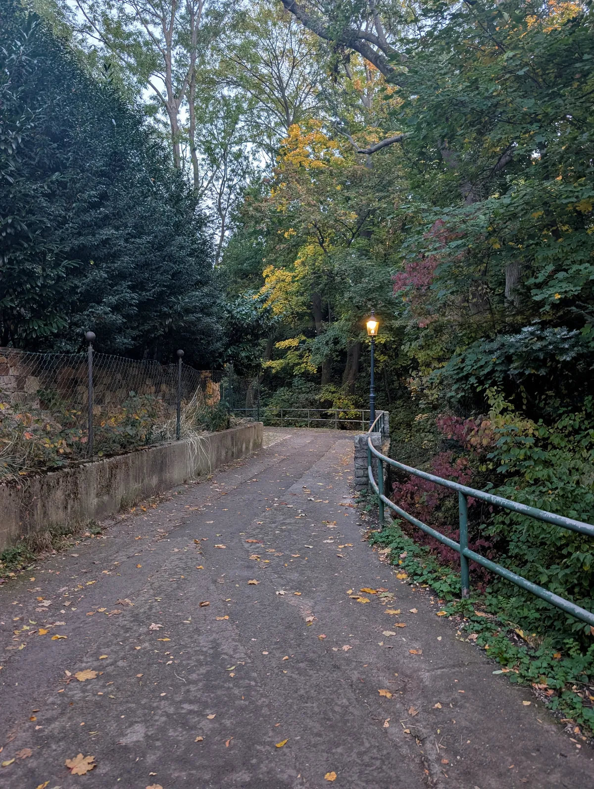 PXL_20251021_155833429