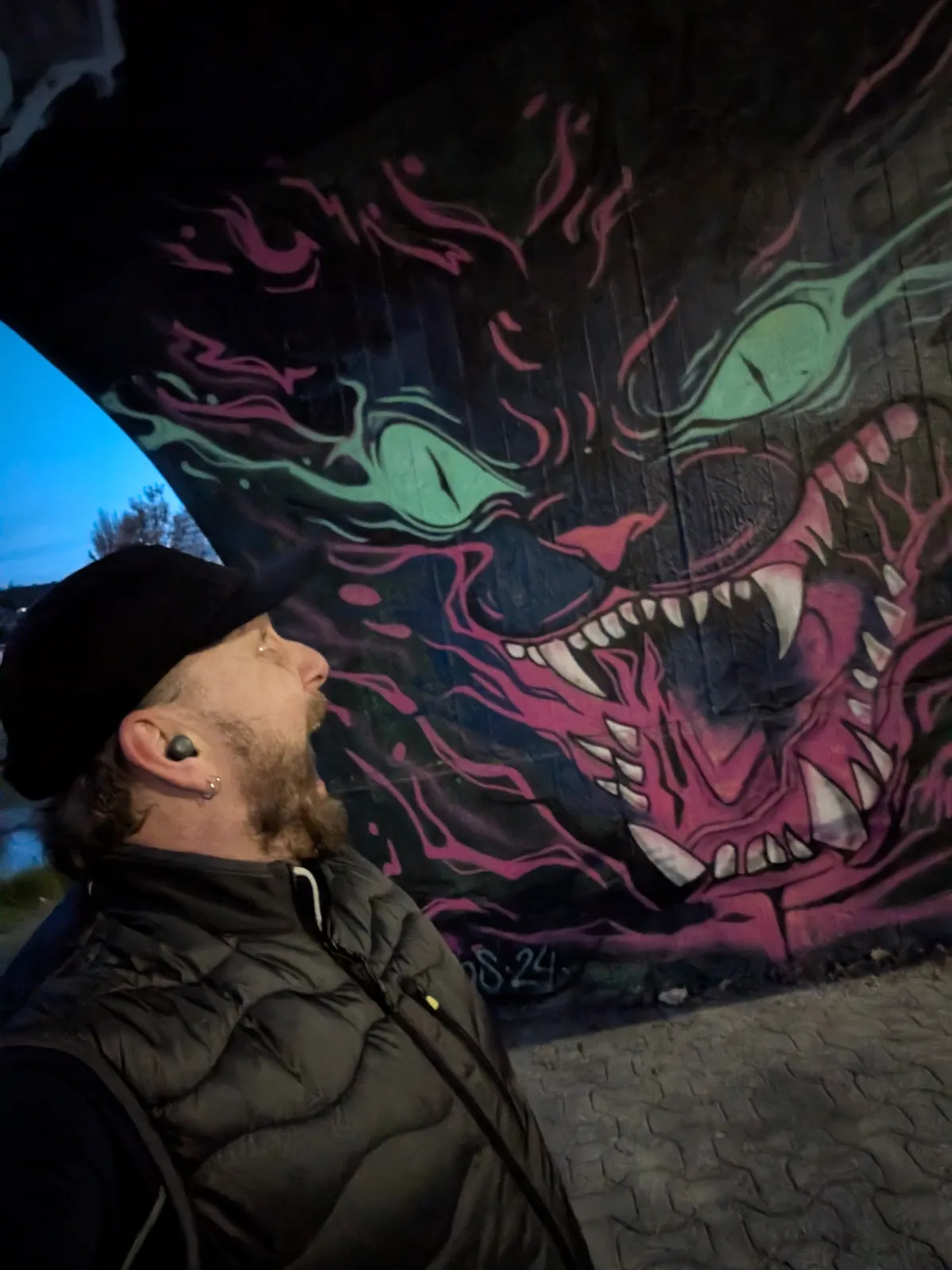 Hissing Cat Mural