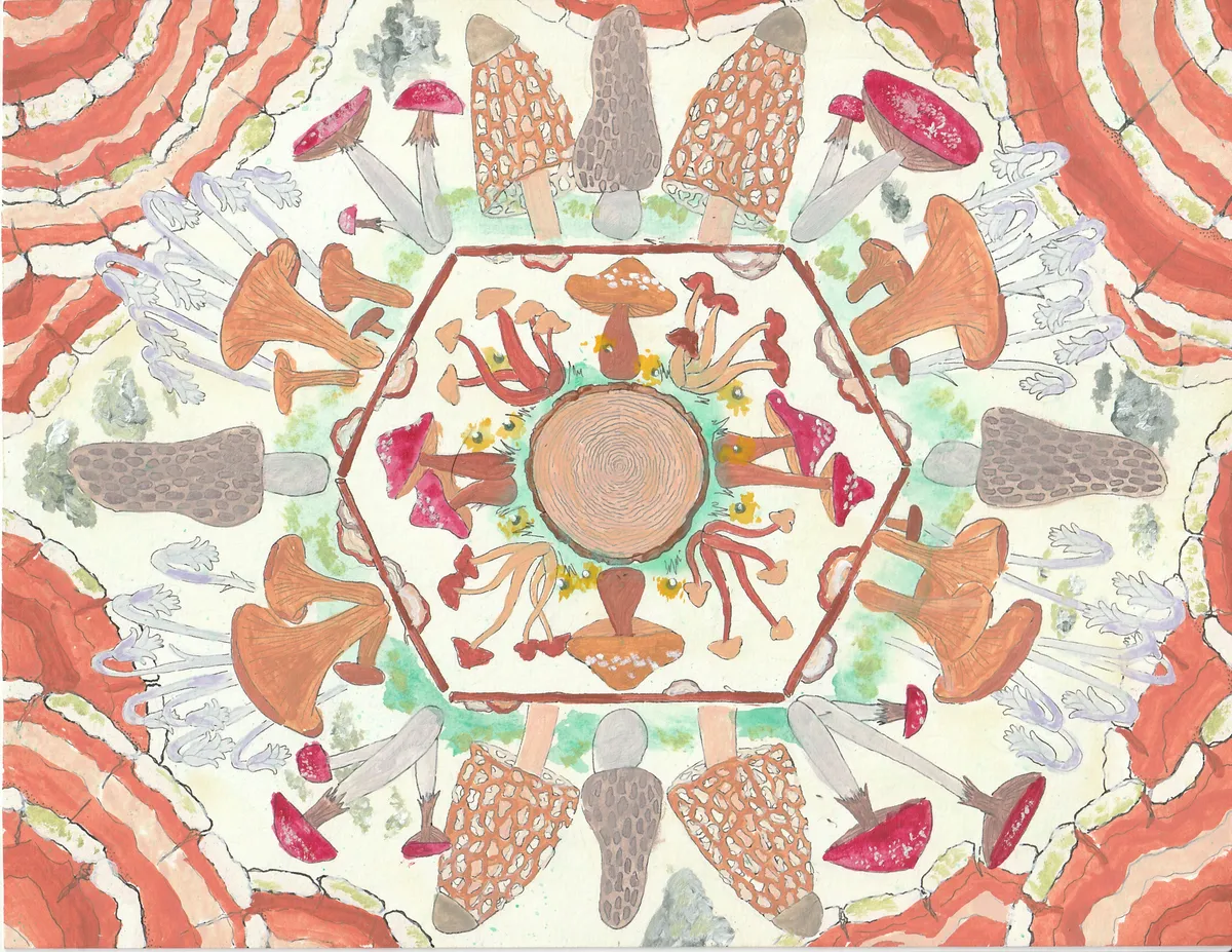 Mushroom Mandala