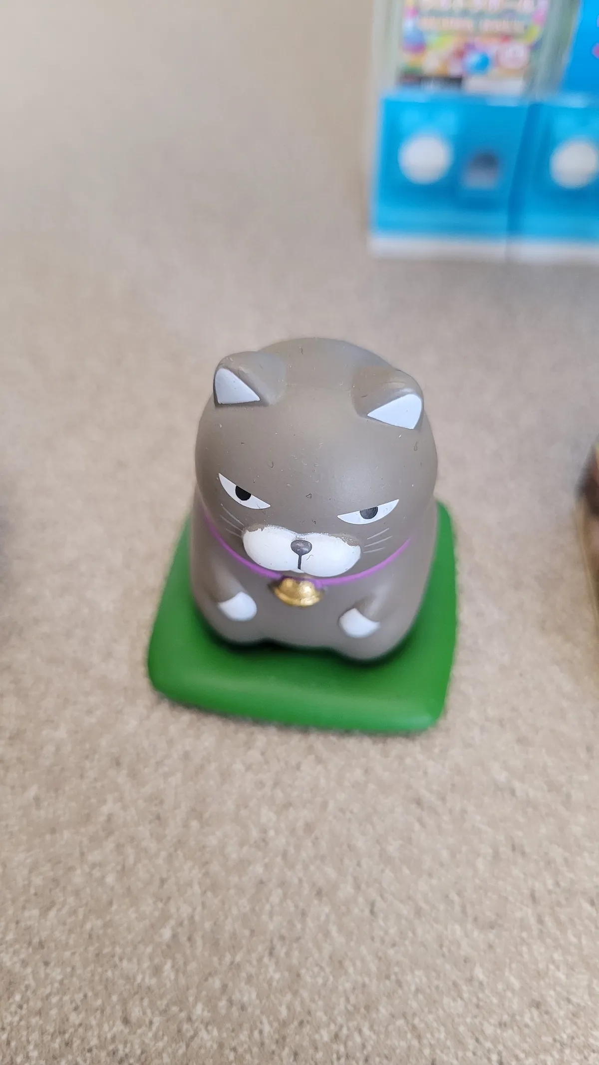 Grumpy-looking cat kneeling on a cushion
