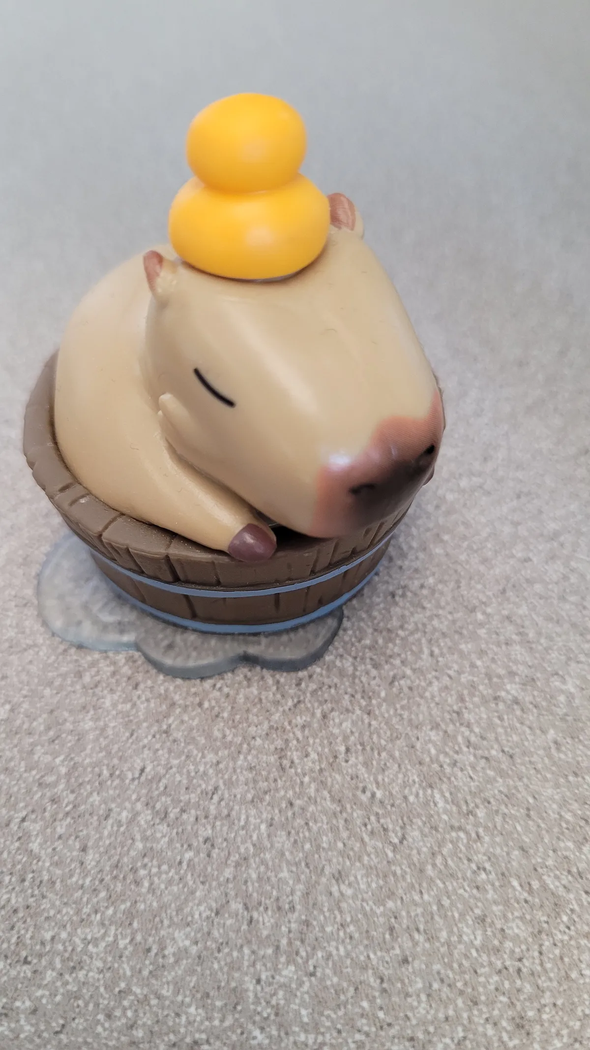 Capybara in a bath with yuzu on its head