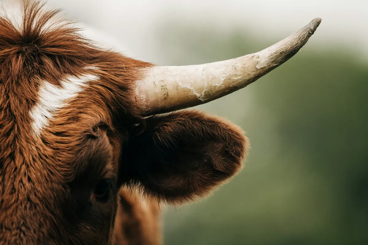 simon-maage-qQhpBHw1Ggs-unsplash 2