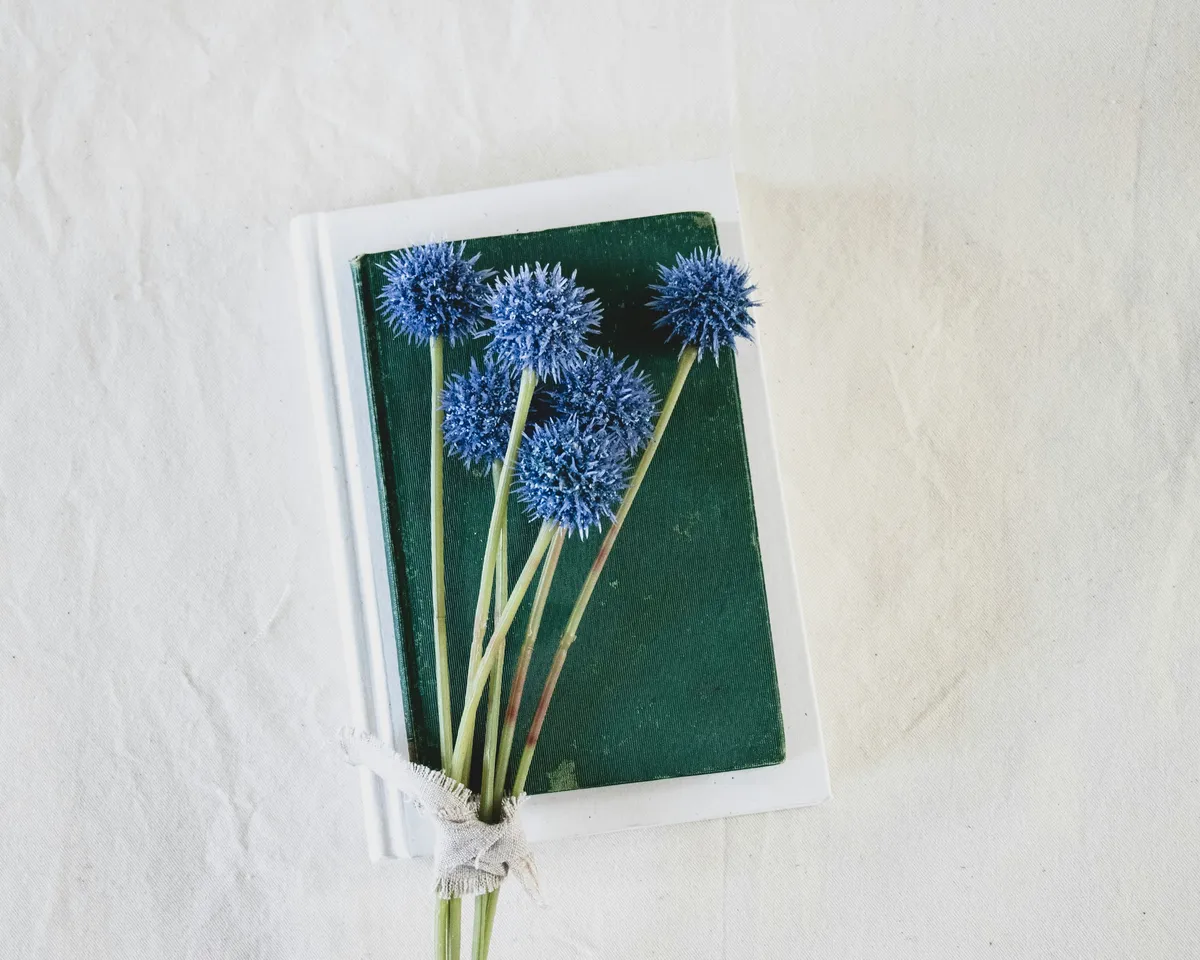 Blue Globe Thistles on Vintage Books A bundle of vibrant blue globe thistles with long green stems rests diagonally on top of two stacked books. The top book is dark green with a worn cover, and the bottom book is white. The thistles are bound together at the bottom with a simple white ribbon. The background is a soft, light-colored fabric, possibly canvas or linen, creating a gentle and rustic aesthetic.