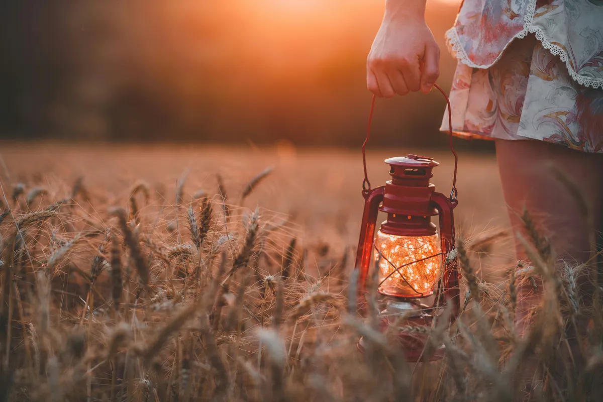 A close-up on a person's hand holding a red, vintage-style lantern. The lantern is lit from within by a tangle of warm fairy lights, and the person is standing in a field of ripe wheat, with a blurry golden sunset in the background.
