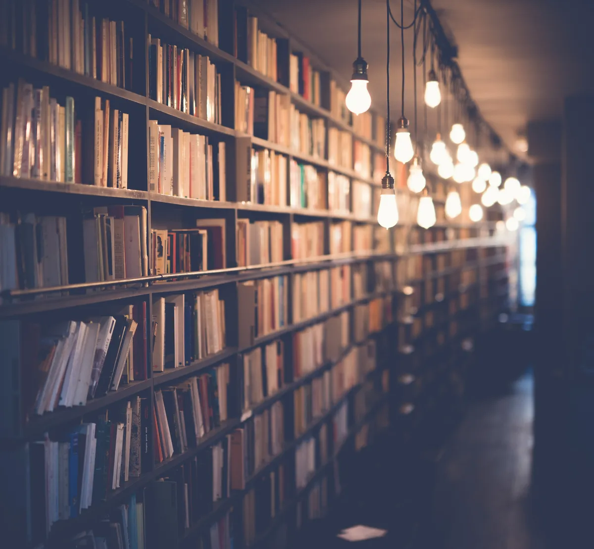 A winding hall of library books warmly lit by several hanging lightbulbs