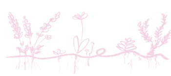gardenpink